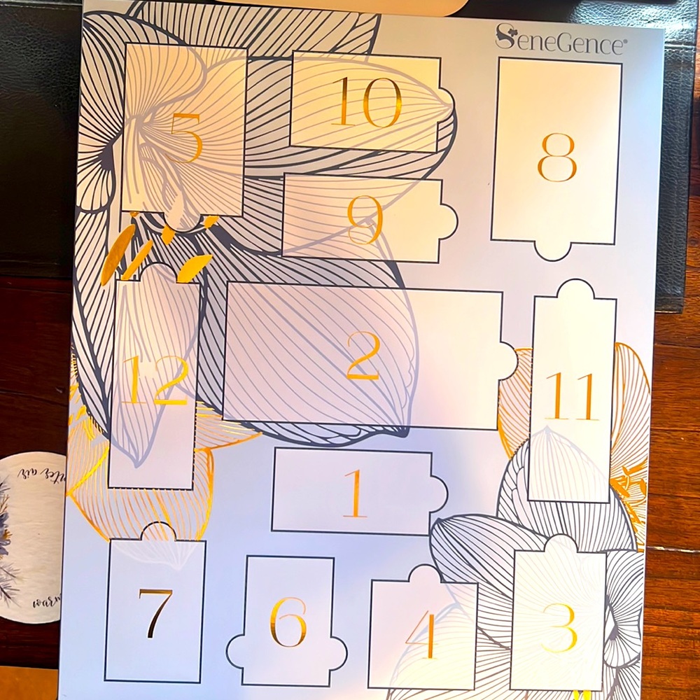 12 Days of Christmas 🎄
